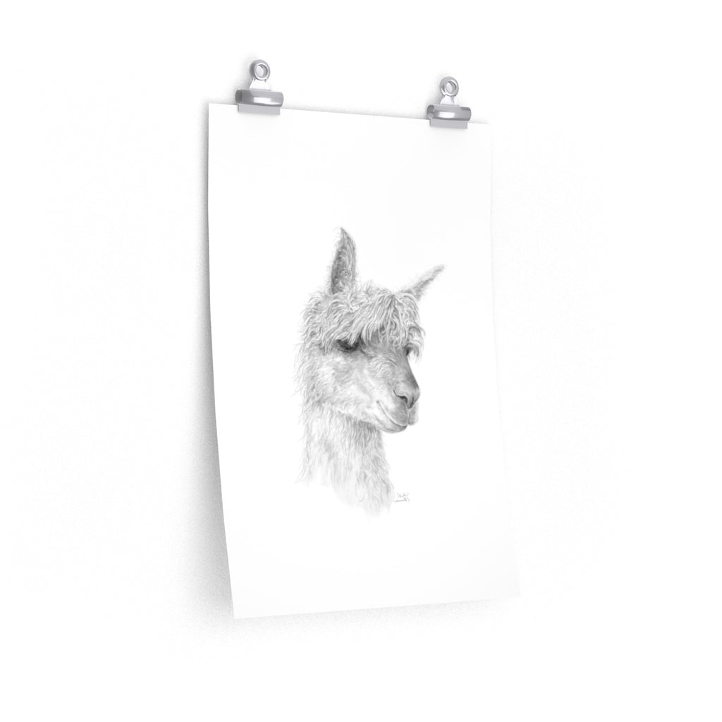 AUSTIN Llama- Art Paper Print