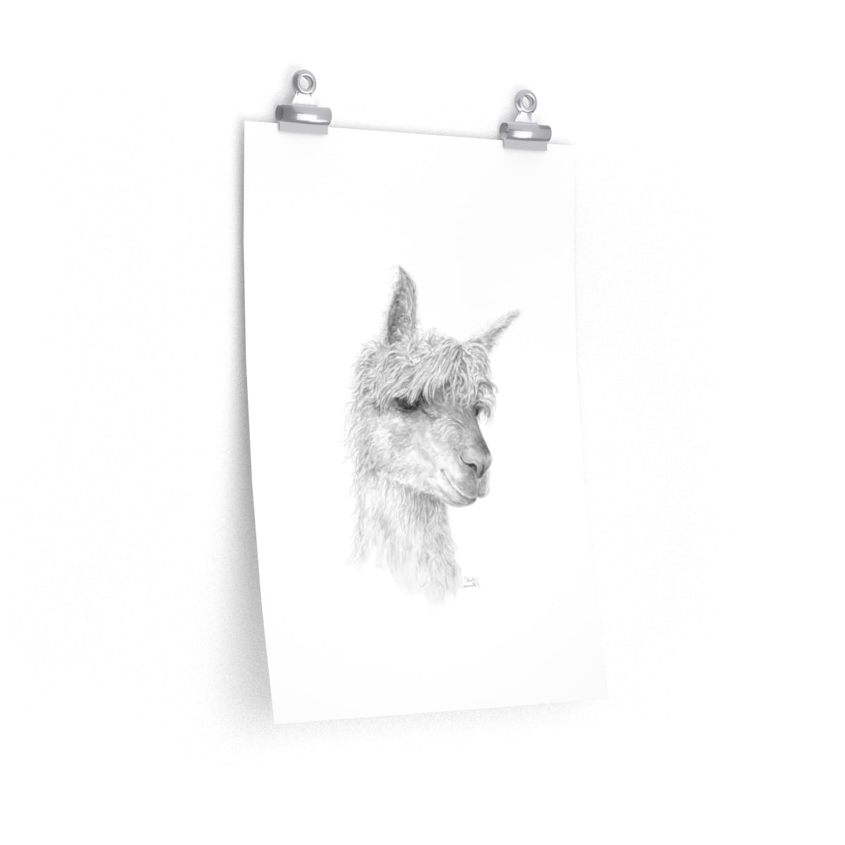 AUSTIN Llama- Art Paper Print