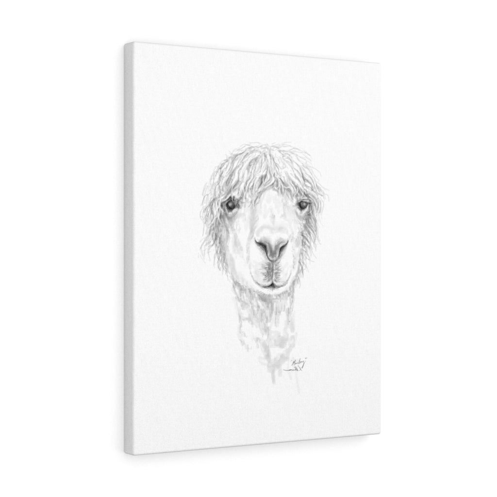MARLEY Llama - Art Canvas