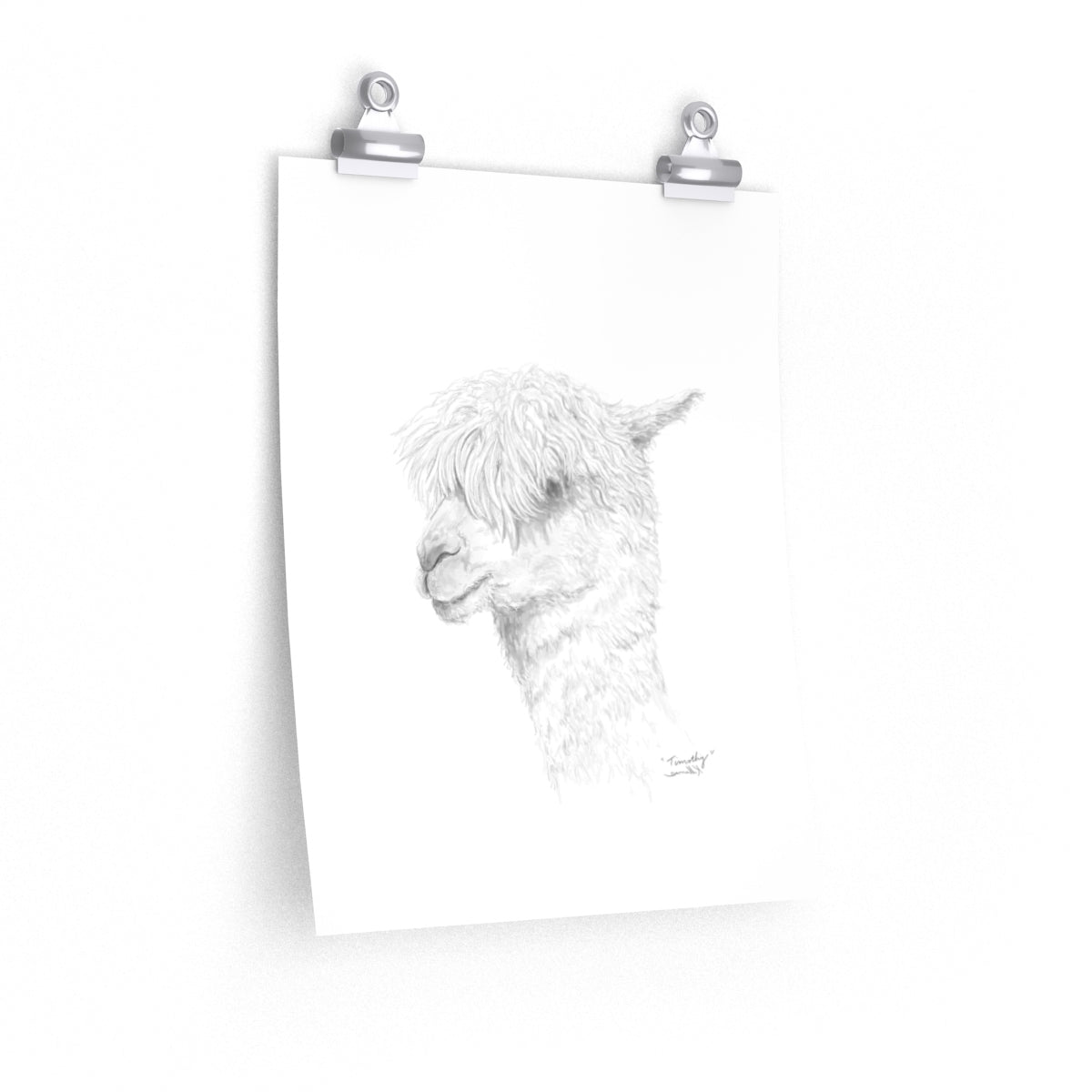 TIMOTHY Llama- Art Paper Print