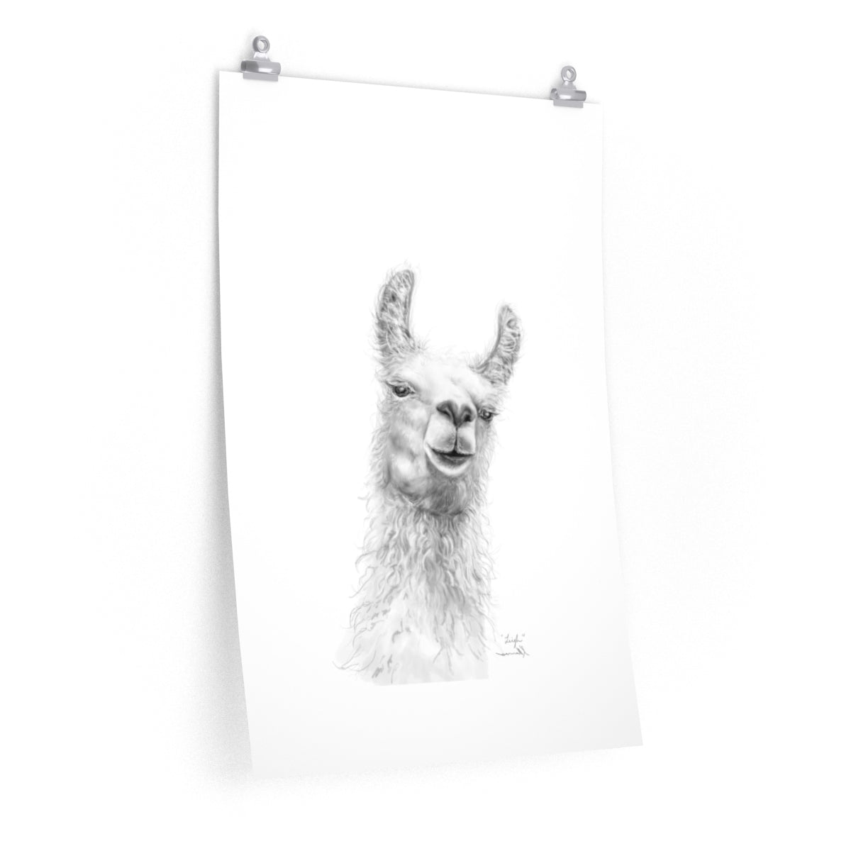 LEIGH Llama- Art Paper Print
