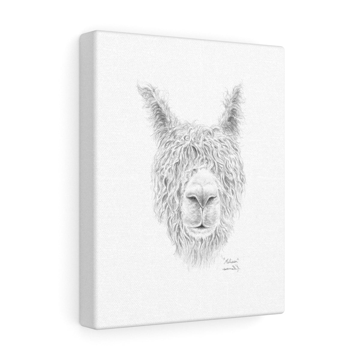 MELISSA Llama - Art Canvas
