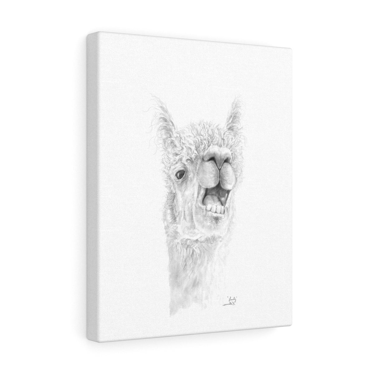 LANTY Llama - Art Canvas