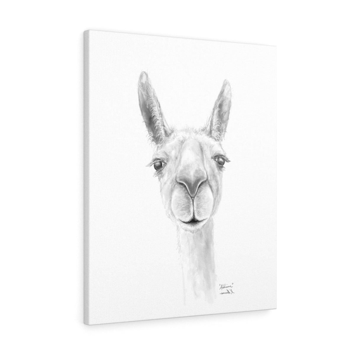 ADDISON Llama- Art Canvas
