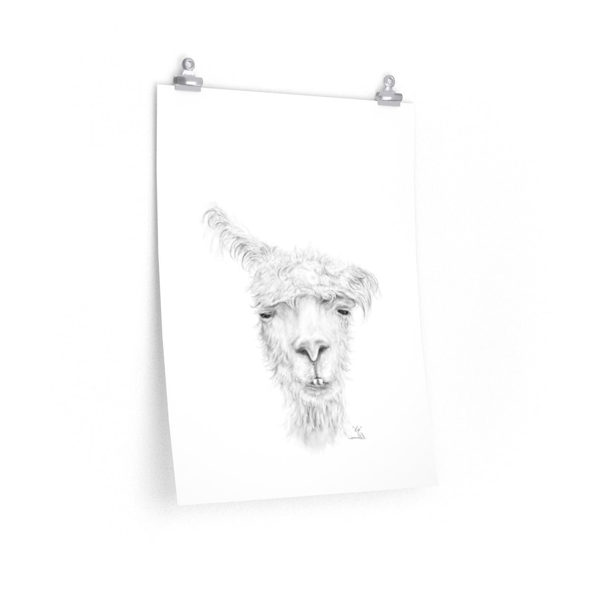 KIP Llama- Art Paper Print
