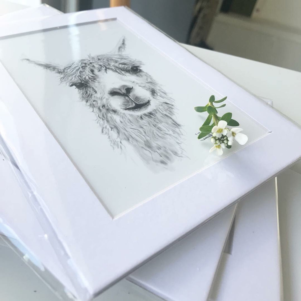 5x7” Llama Print