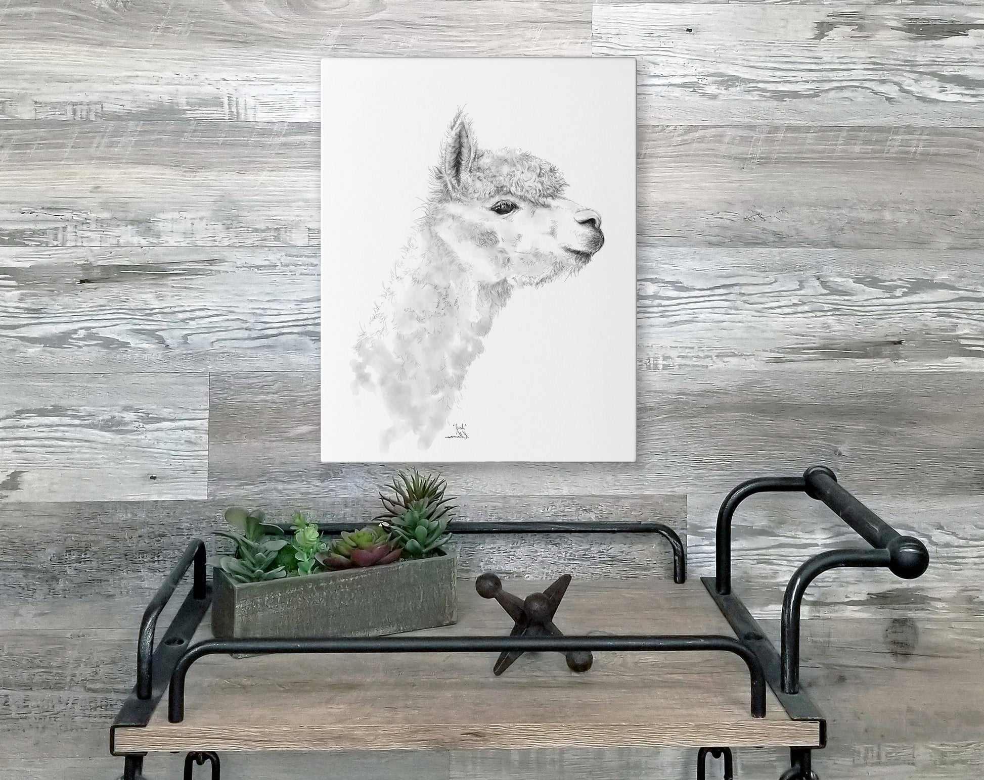 JOSH Llama - Art Canvas