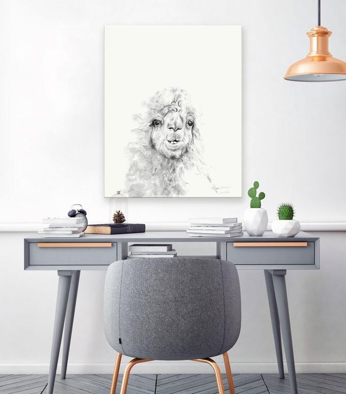 ANTONIO Llama - Art Canvas