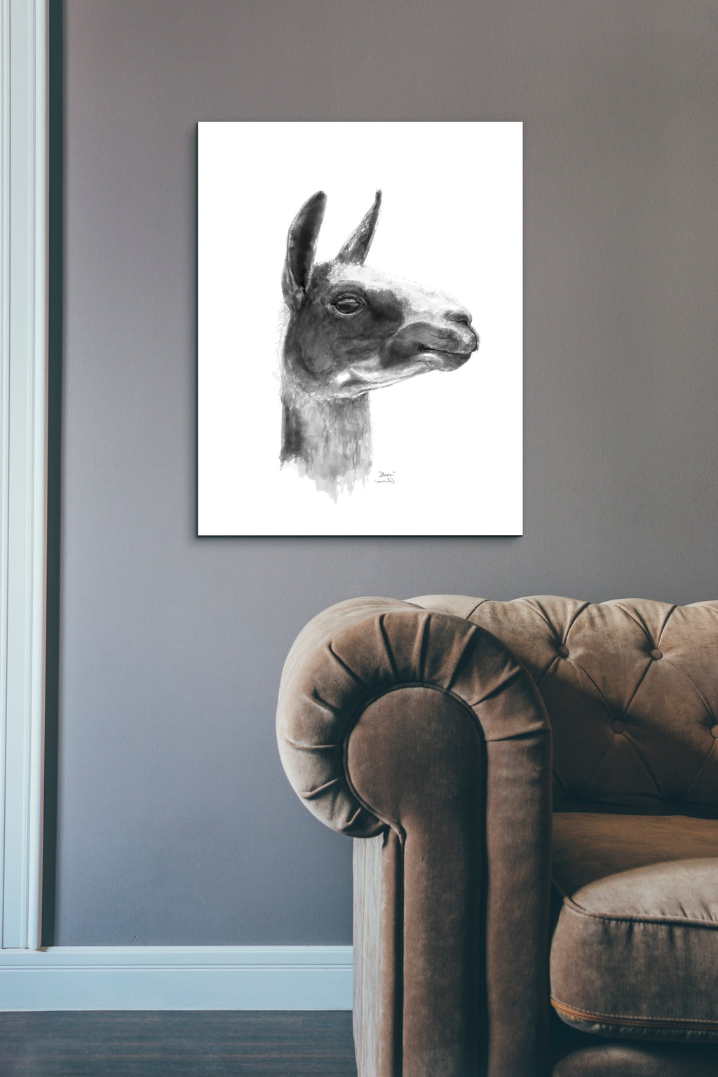 STASIA Llama - Art Canvas