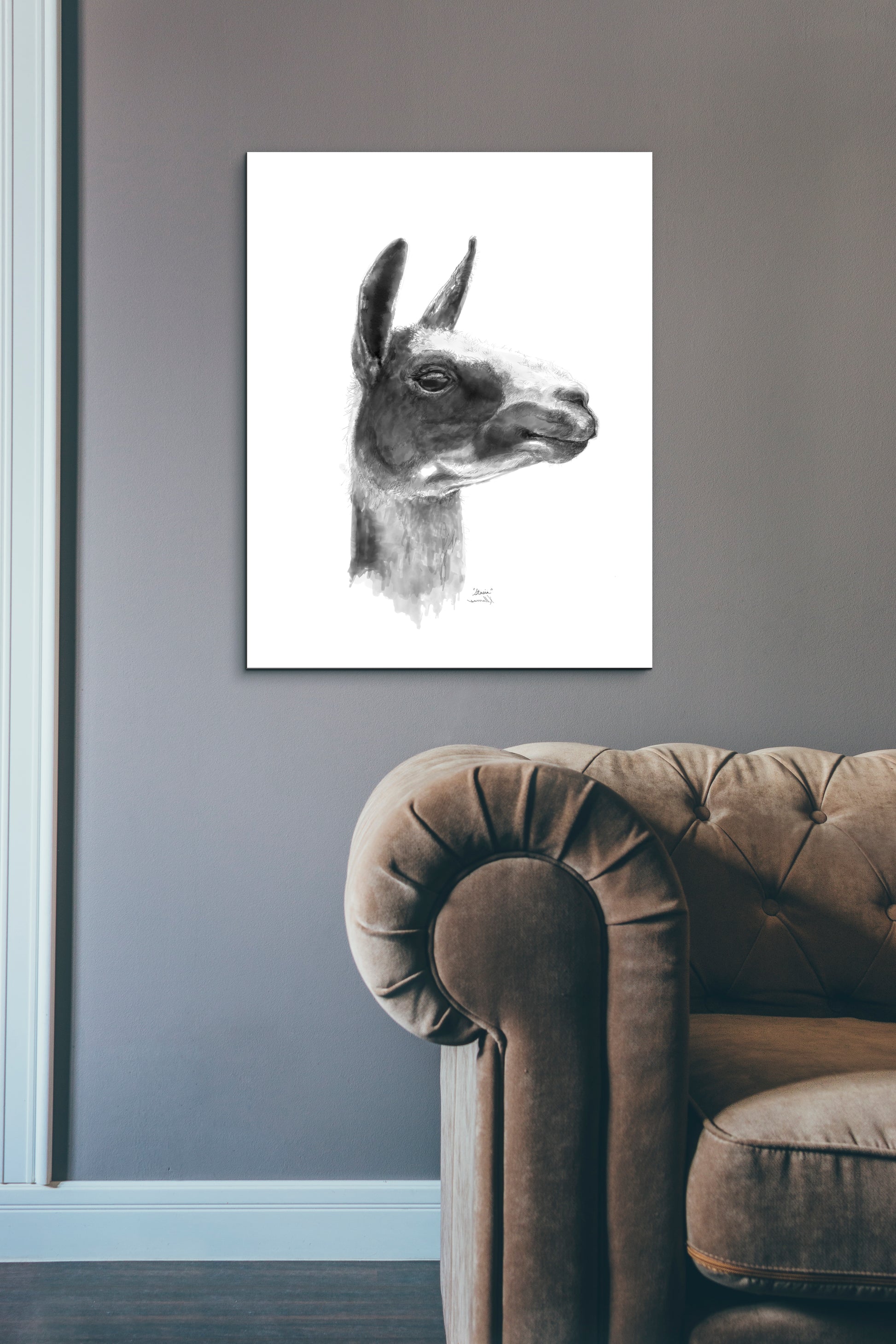 STASIA Llama - Art Canvas