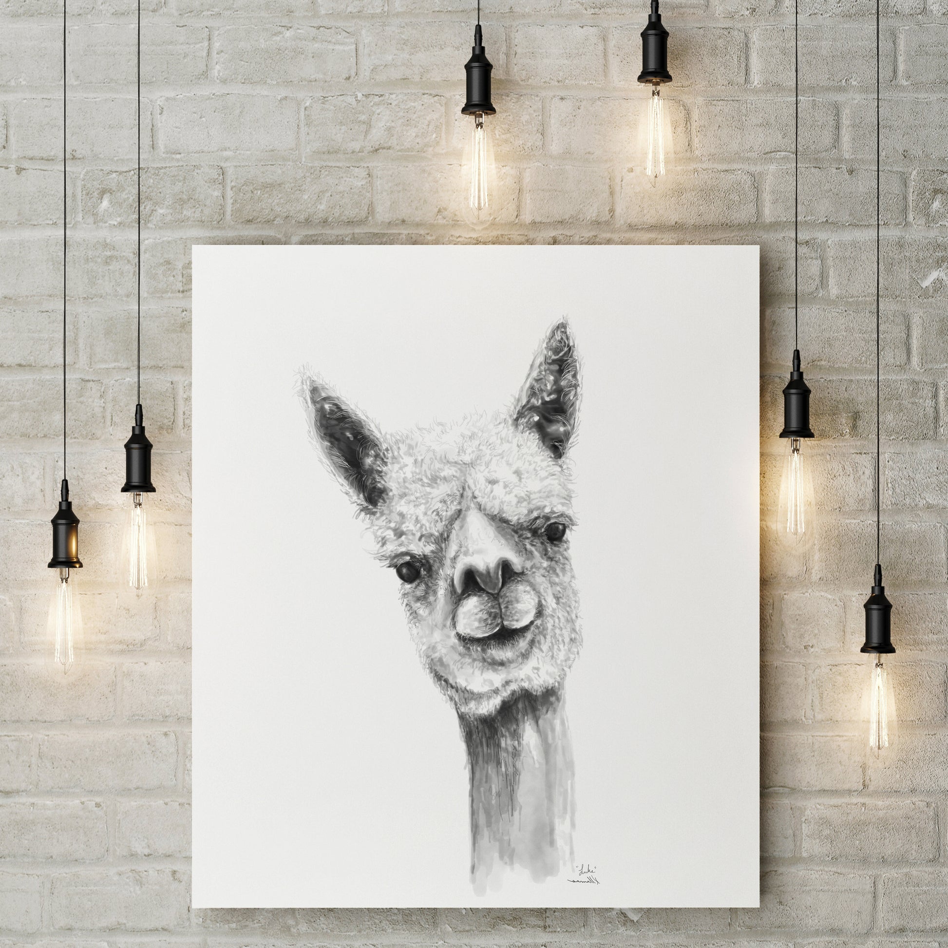 Luke Llama - Art Canvas