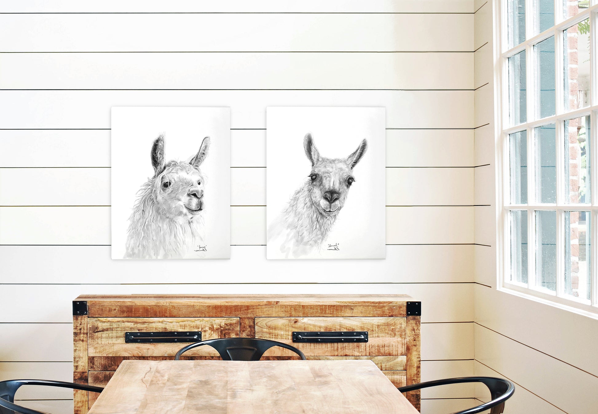 JAMES Llama - Art Canvas